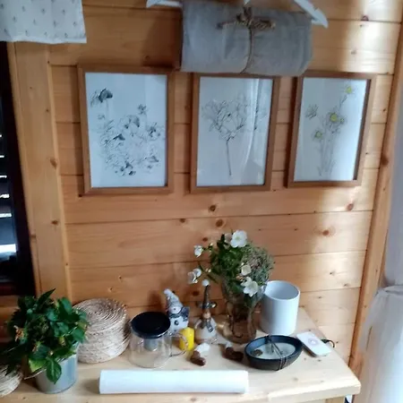 Nikolija 2 Bajina Basta