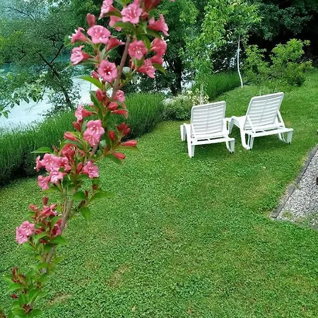 Nikolija 2 Bajina Basta