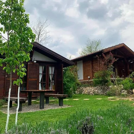 Nikolija 2