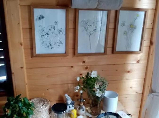 Nikolija 2 Bajina Basta