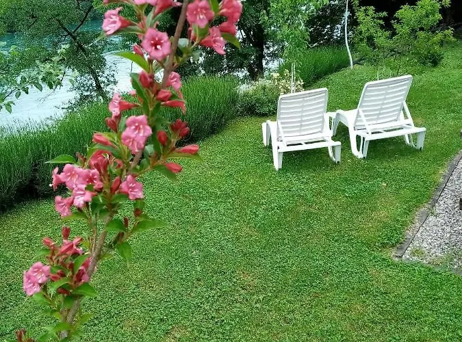 Nikolija 2 Bajina Basta